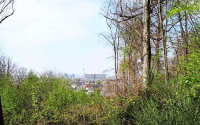 Starke Präsenz vom Düsseldorfer OSD und der Polizei am Wochenende in Düsseldorf