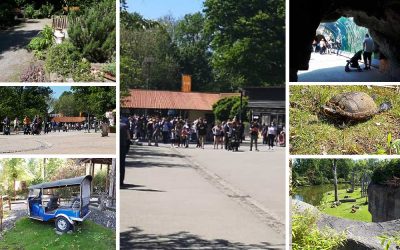 Endlich wieder geöffnet!, aber… - Die Zoom Erlebniswelt darf wieder besucht werden