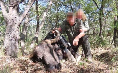 Die Trophäenjagd ist eine besonders grausame Freizeitbeschäftigung, bei der unzählige Lebewesen sterben müssen. Foto: PETA