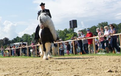 Equitana Open Air Mannheim – Blitz-Gewinnspiel