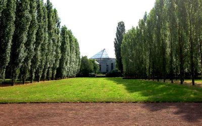 Aquazoo - Archiv: Niveau-Foto