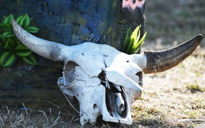 Wacken-Fans aufgepasst: Die neuen Geländepläne für 2025 sind da!
