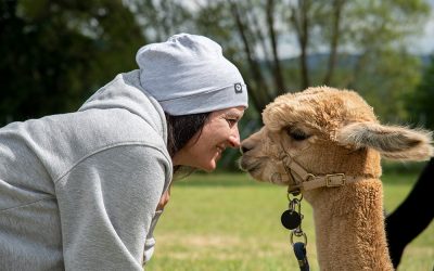 Freizeittipp: Die Pako Ranch im Sauerland