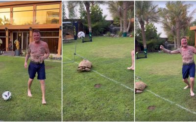 Martin Rütter bietet Prinz Marcus an, für alle Tiere, die bei ihm leben, ein „neues gutes Zuhause“ zu finden / Foto: Instagram-prinzmarcus