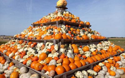 Krewelshof/ Foto: niveau-klatsch.com