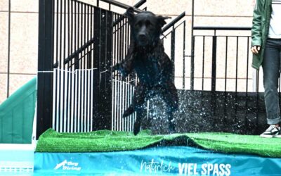 Dogs and Fun 2025/ Foto: niveau-klatsch