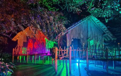 Grusel-Alarm im Zoo: Halloween-Nächte in der ZOOM Erlebniswelt!