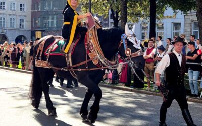 6,5 Millionen Gäste feiern auf der Wiesn 2025 – trotz Hitze und Sperrung