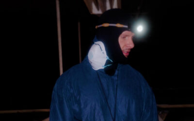 ANINOVA nimmt Fleischesser mit in eine Schweinemast/ Foto: ANINOVA