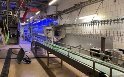 Blick in den Innenbereich des Hühnerschlachthofs Buckl in Wassertrüdingen/ Foto: ANINOVA e.V