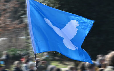 Friedenstaube/ Foto: nivau-klatsch