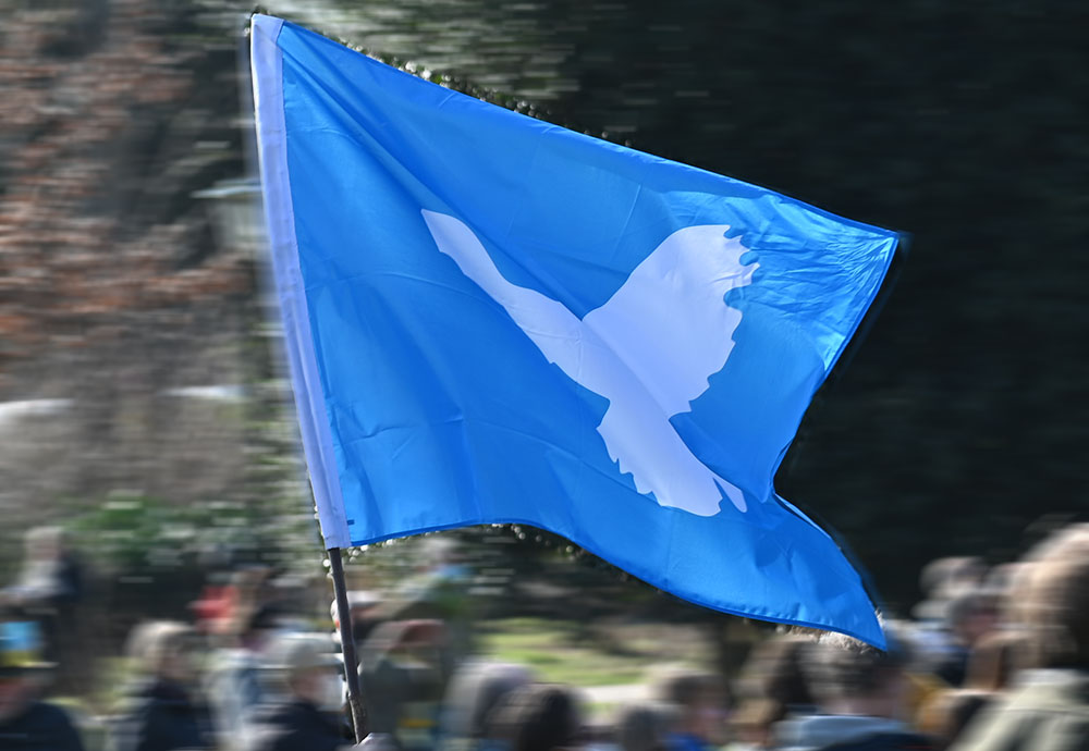 Friedenstaube/ Foto: nivau-klatsch