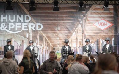 Hund & Pferd 2026: 20 Jahre tierische Highlights, spektakuläre Shows und jede Menge Shopping in Dortmund